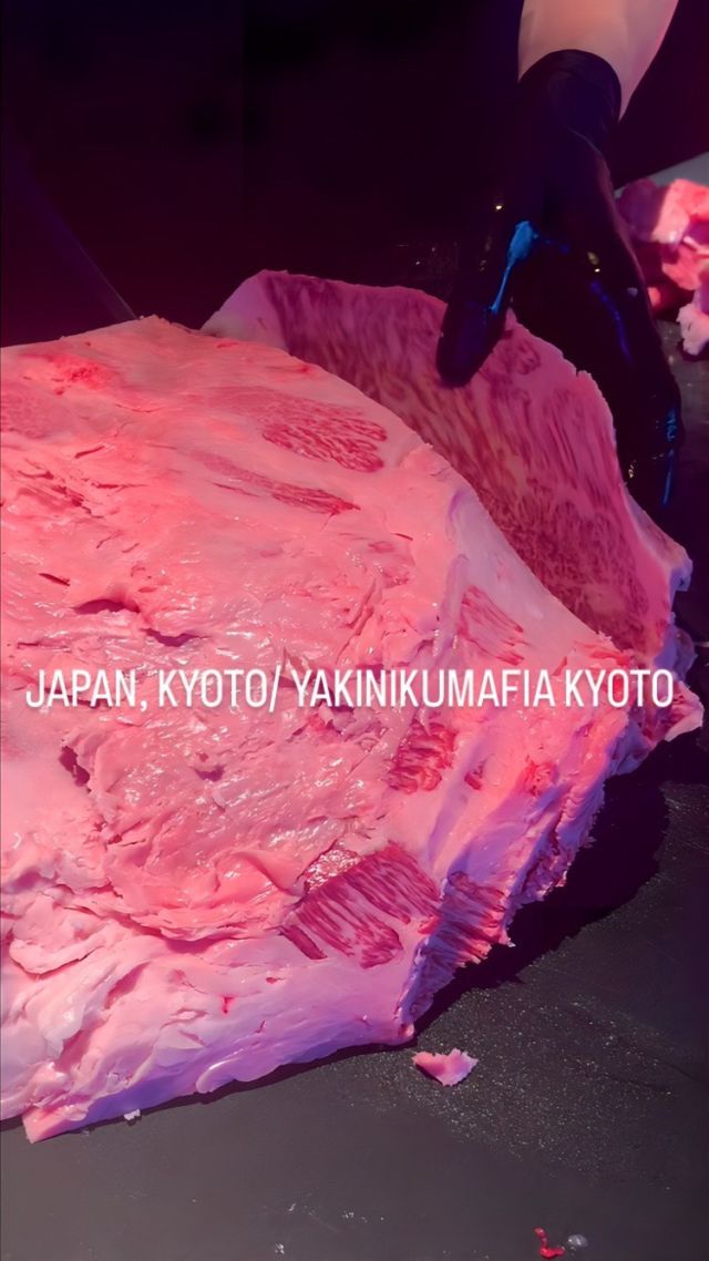 We’re looking forward to seeing you here. 
——————————

YAKINIKUMAFIA KYOTO
〒600-8031
京都府京都市下京区貞安前之町589
TM四条寺町ビル8F
TEL:075-343-2929

8F TMshijoteramachibiru
589 Teiammaenocho Shimogyo-ku,
Kyoto-shi, Kyoto-fu, Japan
〒600-8031
Tel:075-343-2929

☀️ lunch 11:00-14:00
🌙dinner 17:30-22:00

最終入店は、ランチ12:30、ディナー20:30となっております。以降のご入店をご希望の場合はお電話にてお問合せください。

The last entry is 12:30 pm for lunch and 8:30 pm
for dinner.
If you would like to enter the restaurant afterwards, please contact us by phone.

#wagyu #thebestwagyu #wagyubeef #wagyumafia #kyoto #japan #kyototrip #kyotojapan #yakinikumafia #yakinikumafiakyoto #kyotoyakiniku #japanesefood #kawaramachi #yakiniku #toptierwagyu #japanesebeef #japanesebbq #japanesebarbecue #handselectedbywagyumafia 

#焼肉 #尾崎牛 #京都焼肉 #京都グルメ #京都ディナー #ヤキニクマフィア #河原町グルメ #河原町ディナー #河原町焼肉 #高級焼肉 #関西グルメ